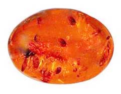 Amber Gemstone