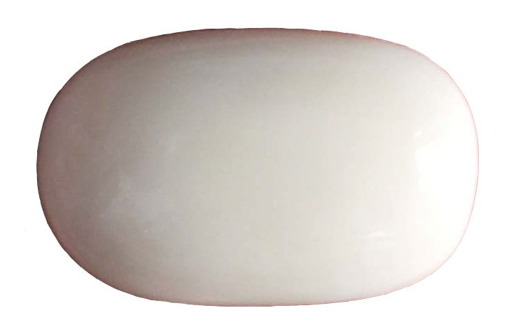 White Coral Gemstone