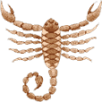 Scorpio