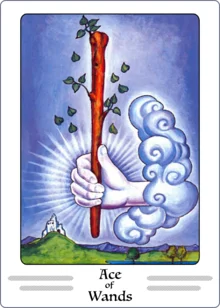ace of wands tarot card