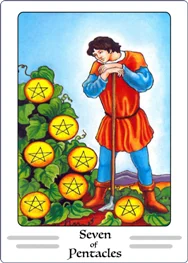 seven of pentacles tarot card